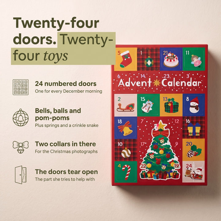 Cat Advent Calendar