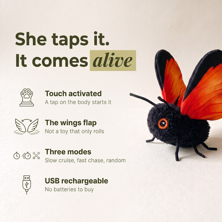 Flutter Butterfly