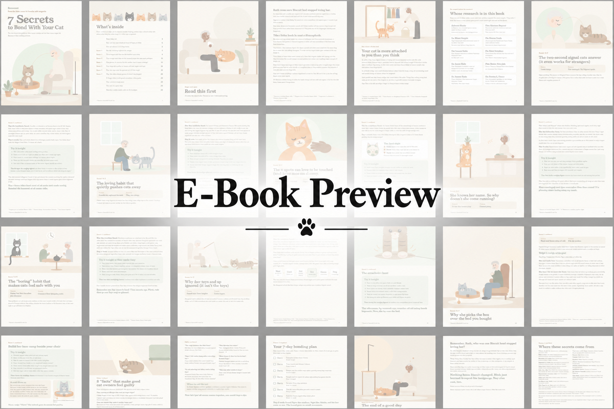 E-book preview: all 28 pages of 7 Secrets to Bond With Your Cat