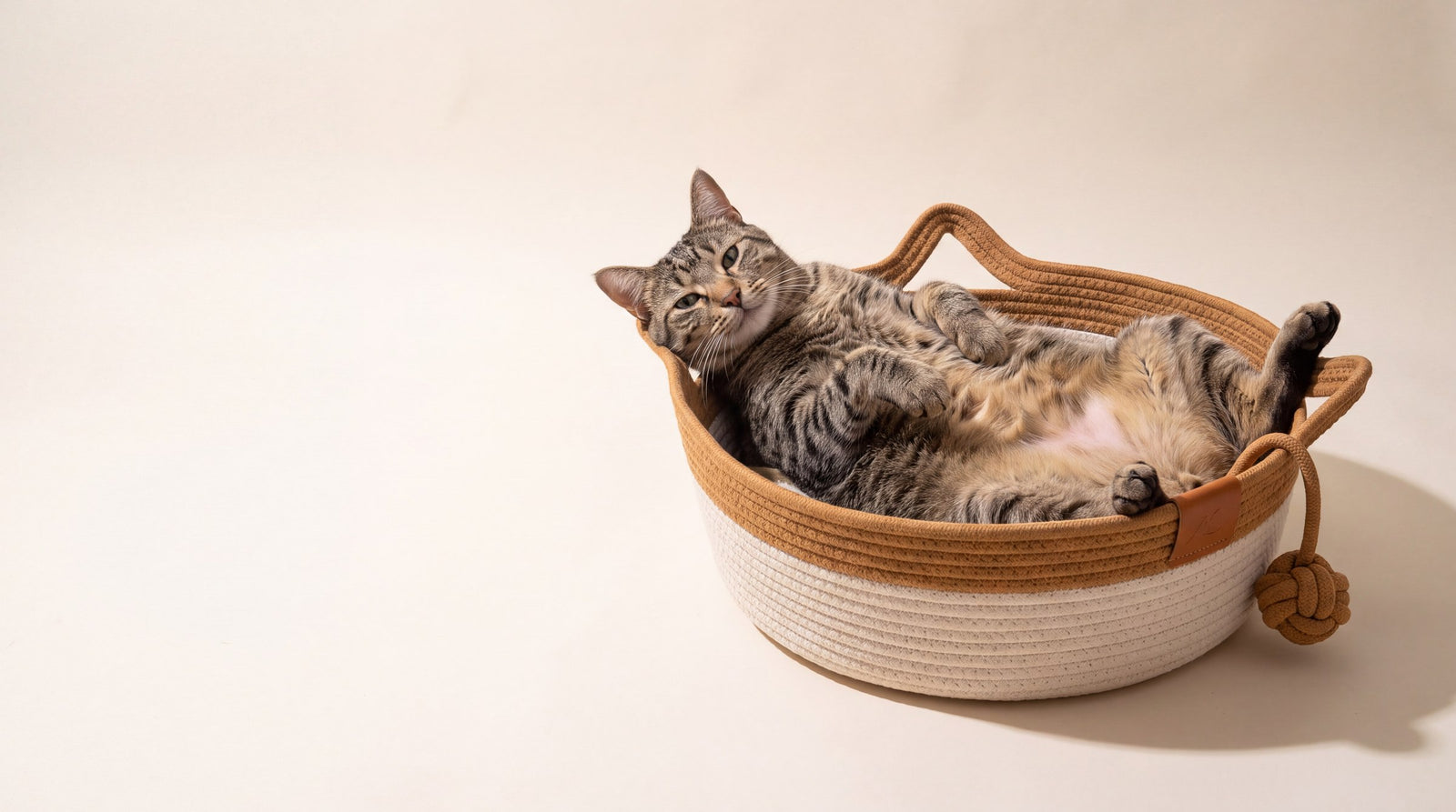 A basket your cat actually chooses.