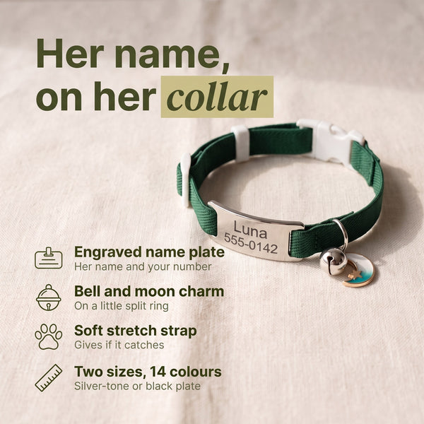 Engraved Name Collar