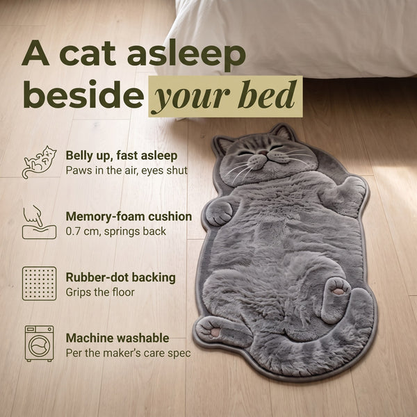 Cat Mat 2.0