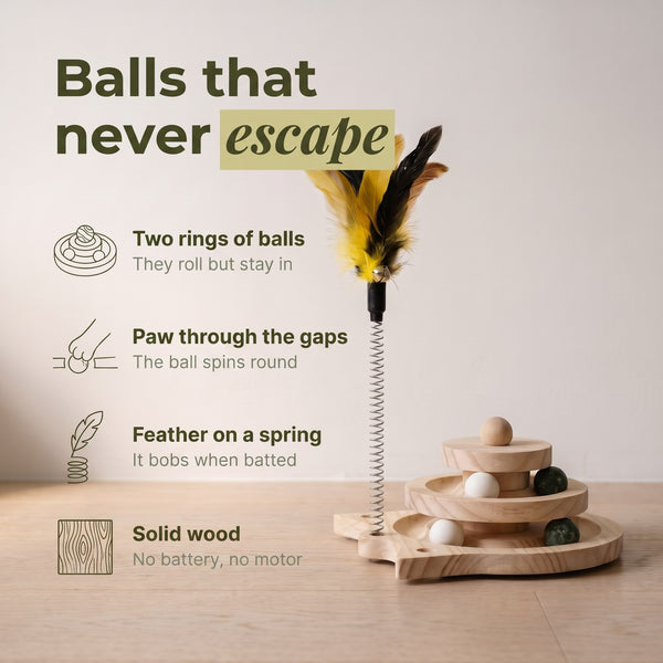 Wooden Ball Track