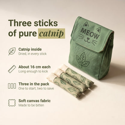 cards-1-features