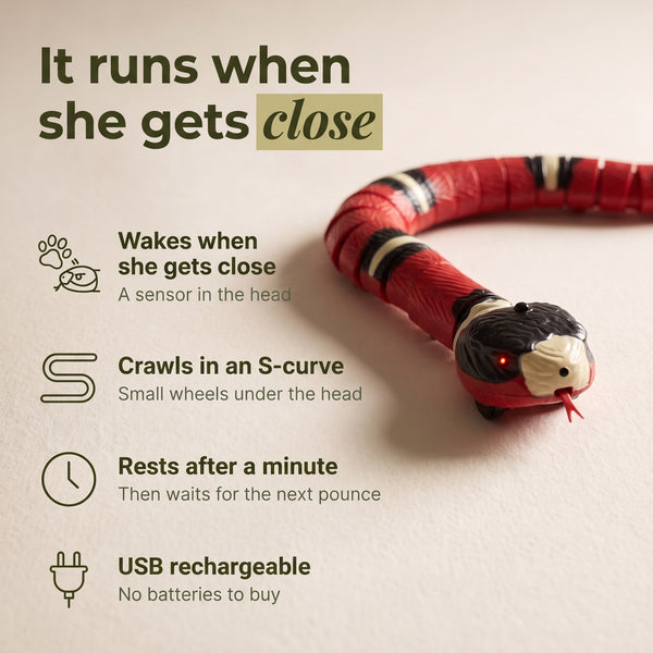 Slither Snake