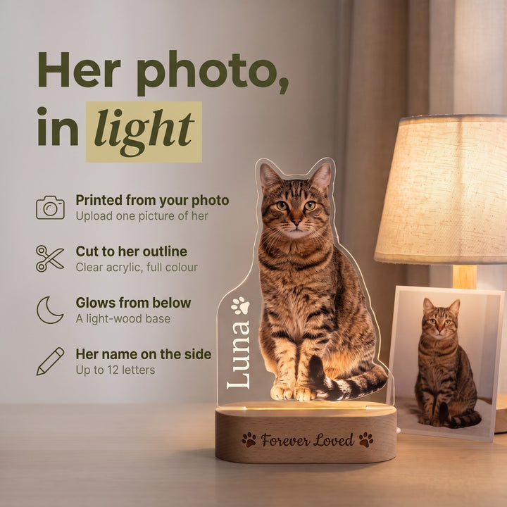 Cat Portrait Night Light
