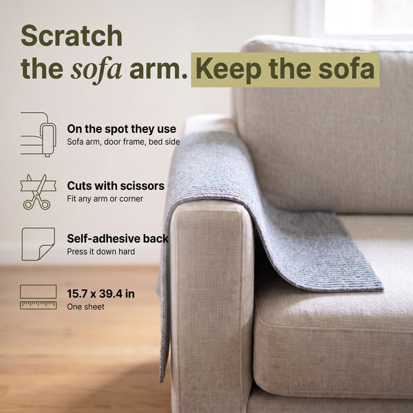 Sofa Scratch Carpet