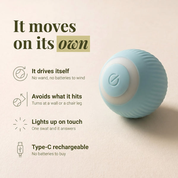Rolling Ball
