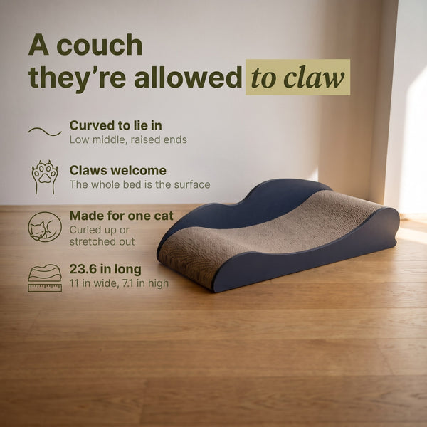 Cat Couch Lounge