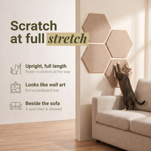 Hexagon Wall Scratch Pads
