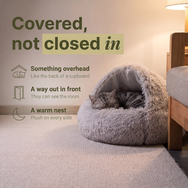 Shell Cave Bed