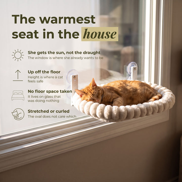 Window Hammock
