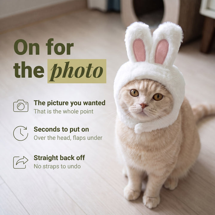 Bunny Hood