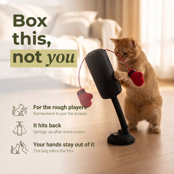 Cat Boxing Toy