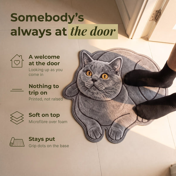 Cat Mat 3.0