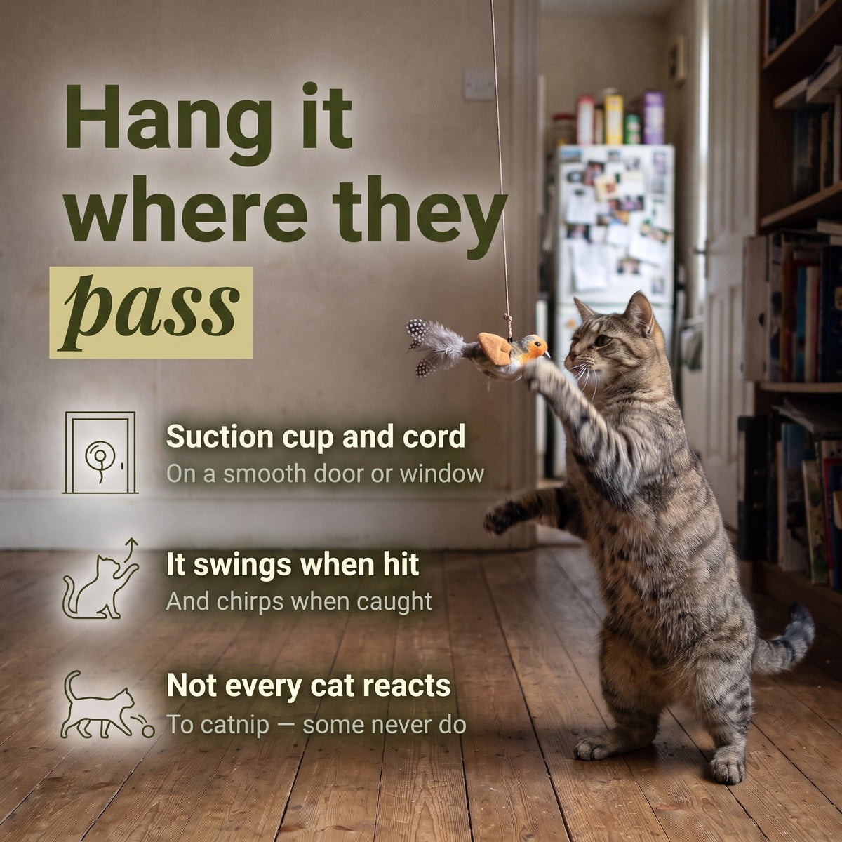 cards-3-in-use