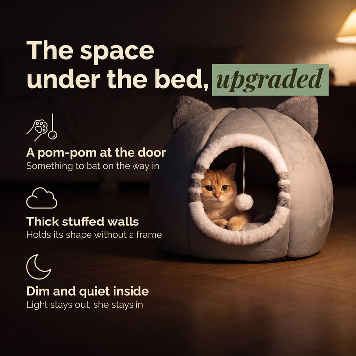 Cat Cave