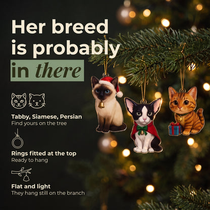 cards-3-in-use