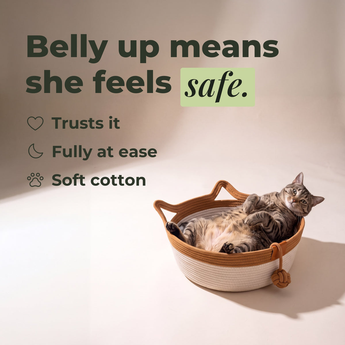 Tabby belly up in the basket — she feels safe
