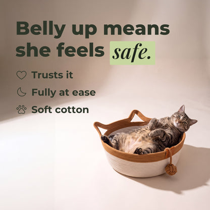 Tabby belly up in the basket — she feels safe
