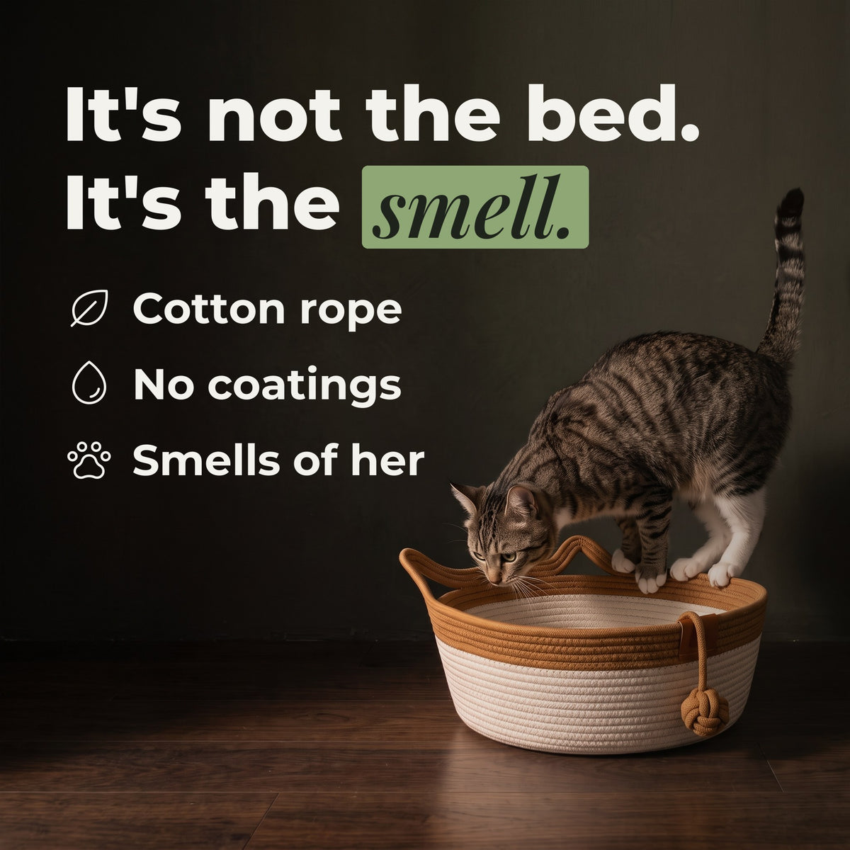 Cat sniffing the rope — it's not the bed, it's the smell