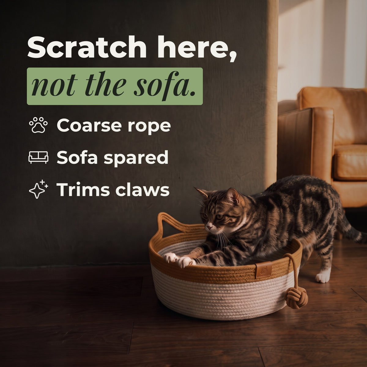 Cat scratching the basket rim, not the leather sofa behind it