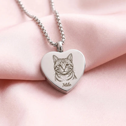 gallery-variety-2-ginger-tabby