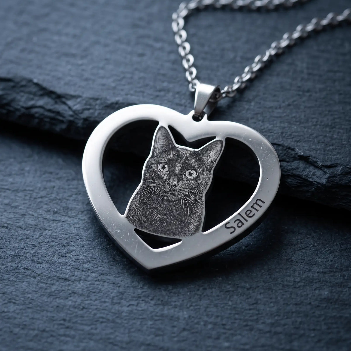 gallery-variety-3-black-cat