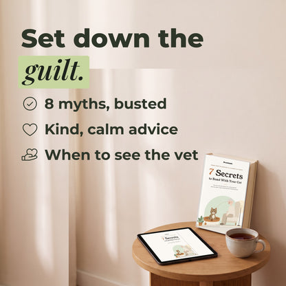 Set down the guilt: 8 myths busted, kind calm advice, when to see the vet