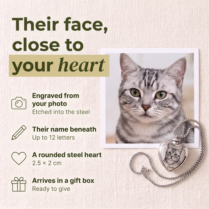 Keepsake Heart Cat Necklace
